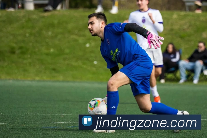 金鼎app平台平台生态图