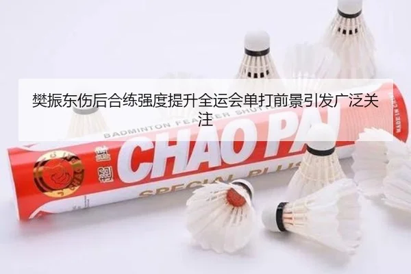 樊振东伤后合练强度提升全运会单打前景引发广泛关注
